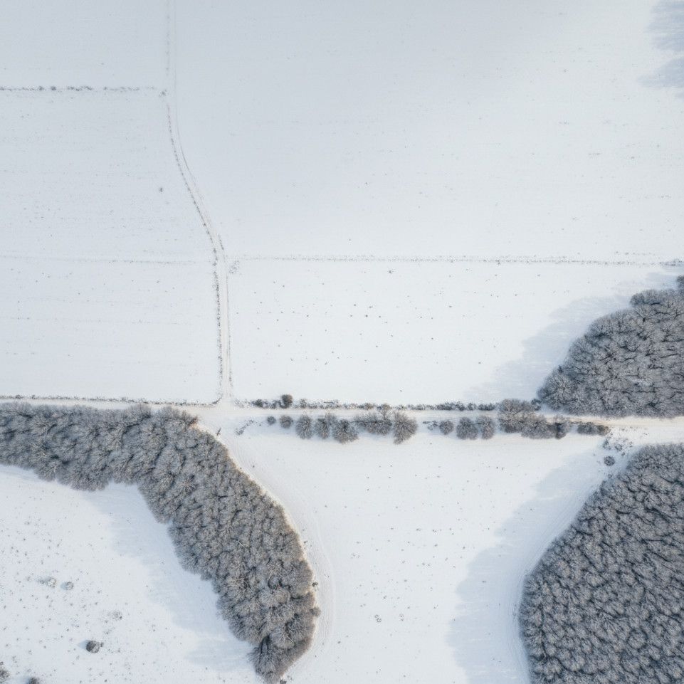 Snowy winter image