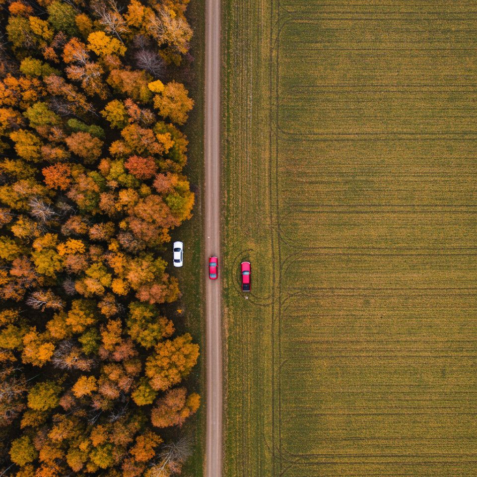 Fall image